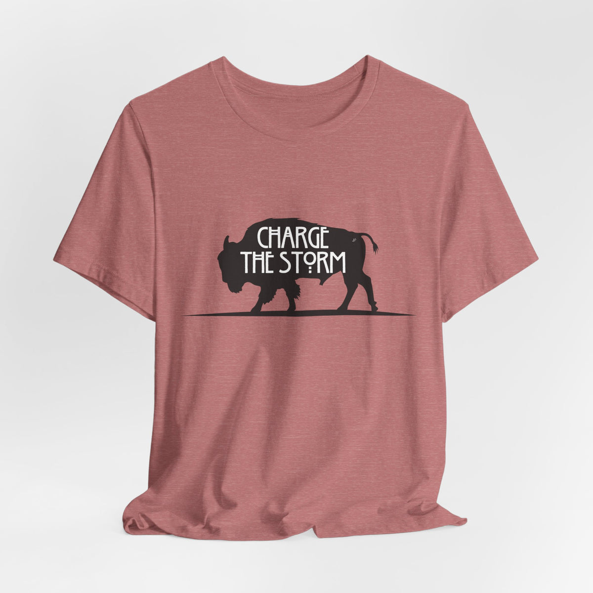 Charge the Storm t-shirt